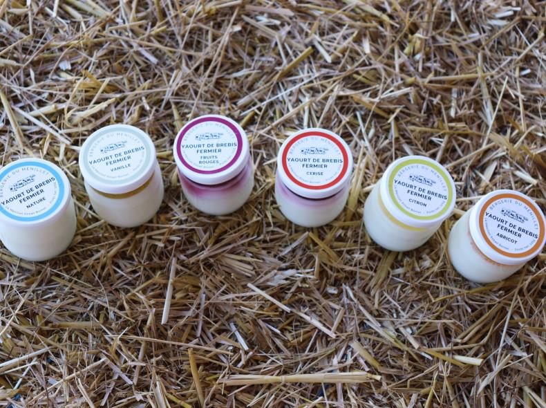 Yaourts de brebis