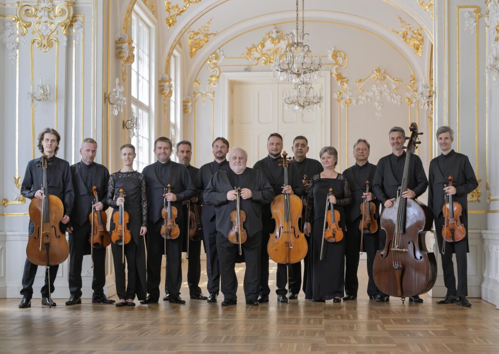Festival des Forêts I Concert méditatif sous les étoiles avec l’Orchestre de Chambre Slovaque