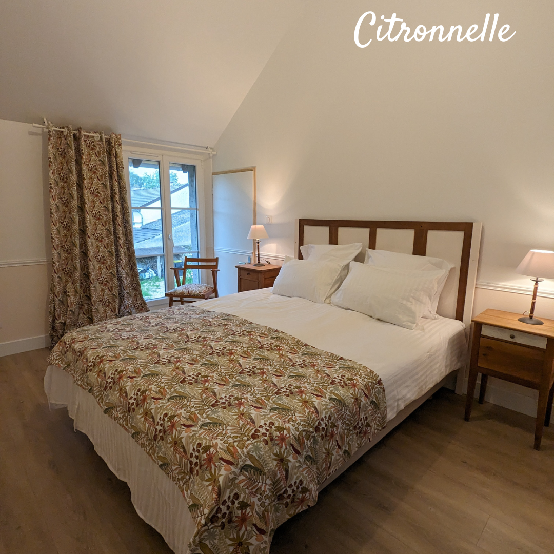 La Maison Cornon - Chambre Citronnelle