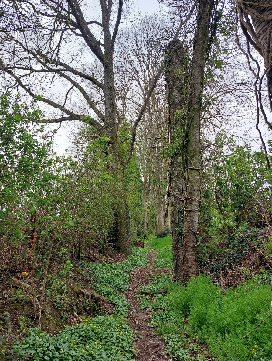 Chemin Reine Blanche