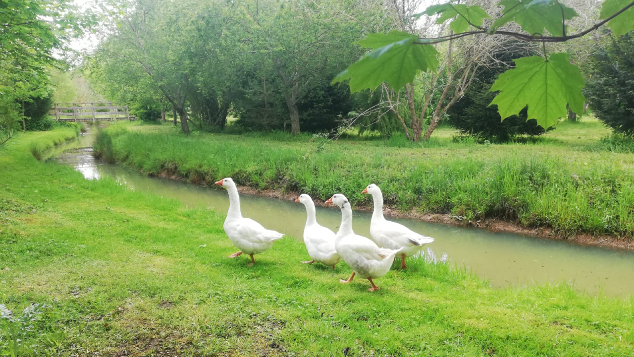 Au soleil de Picardie - Vailly sur-Aisne