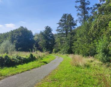 LA VALLÉE DES MIROIRS