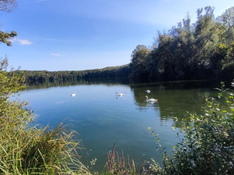 LA VALLÉE DES MIROIRS