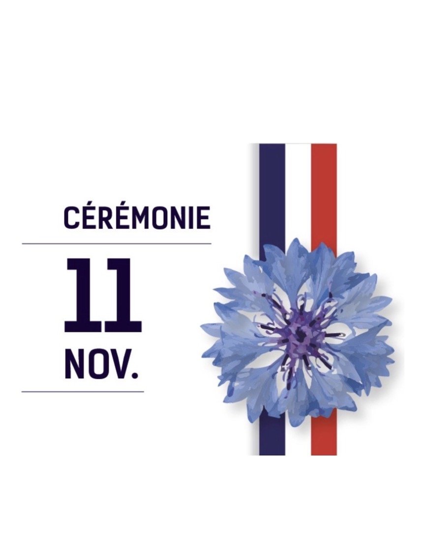 11 nov