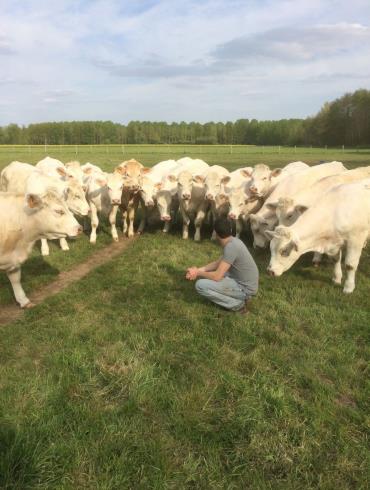 18836810_735900826611679_5605536489076042443_o (1)