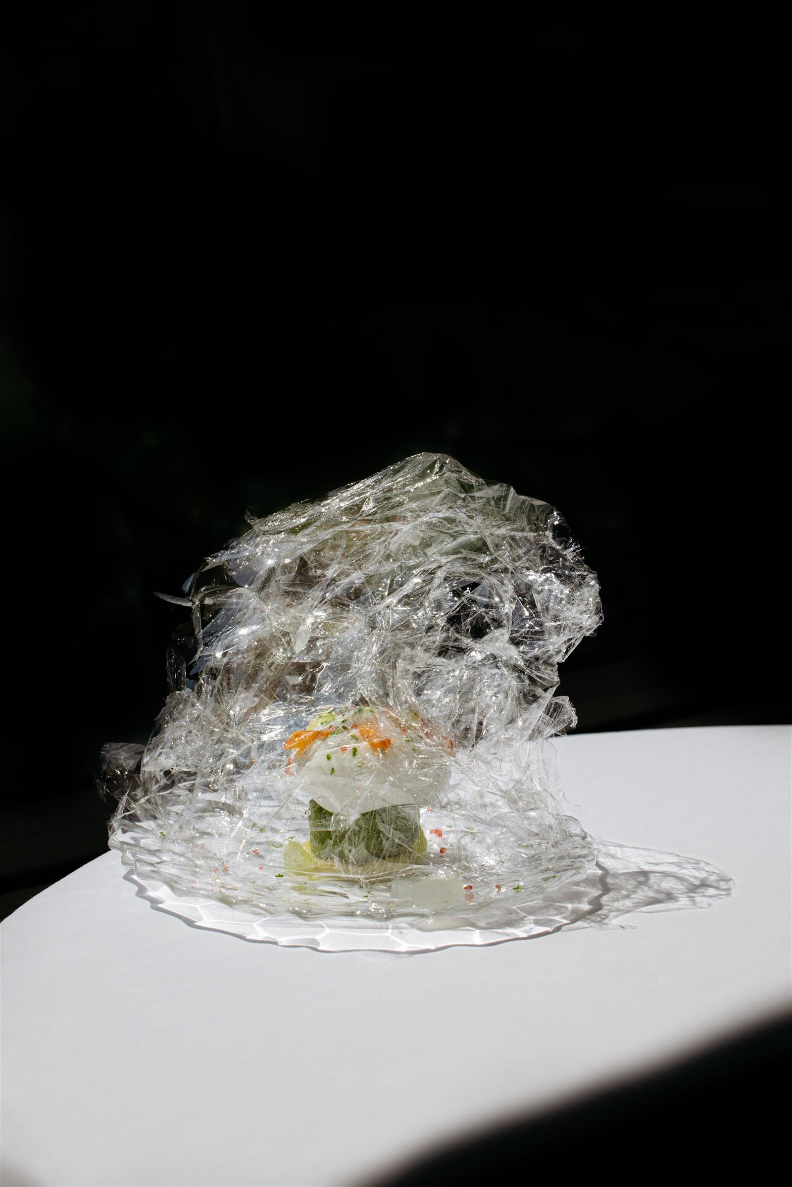 Cristallin, souvenir d'une robe de mariée