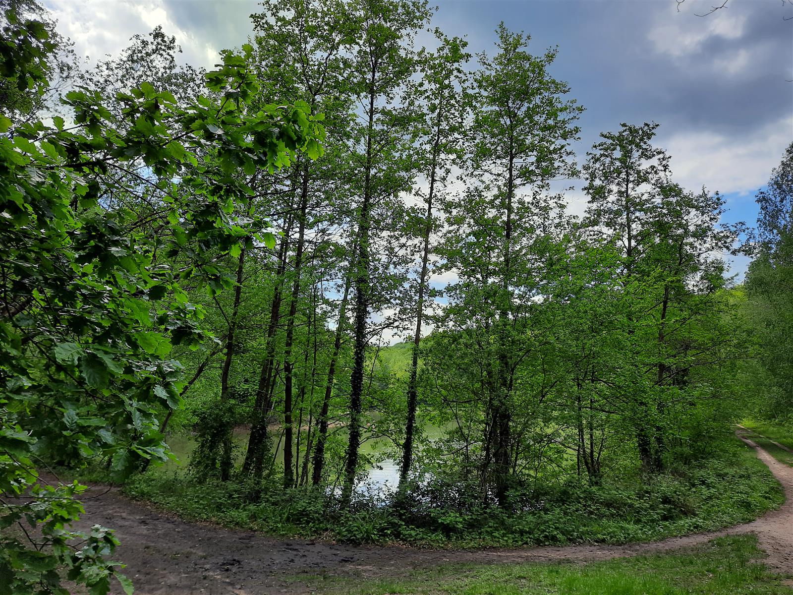 Forêt de Hez Froidmont