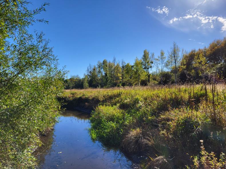 Du Mont César à l'Abbaye de Froidmont