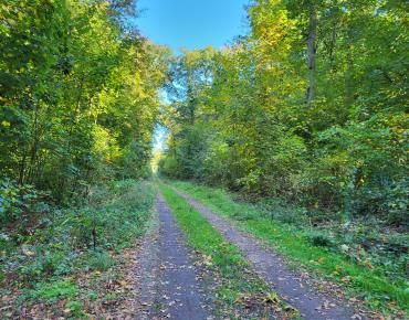 Du Mont César à l'Abbaye de Froidmont