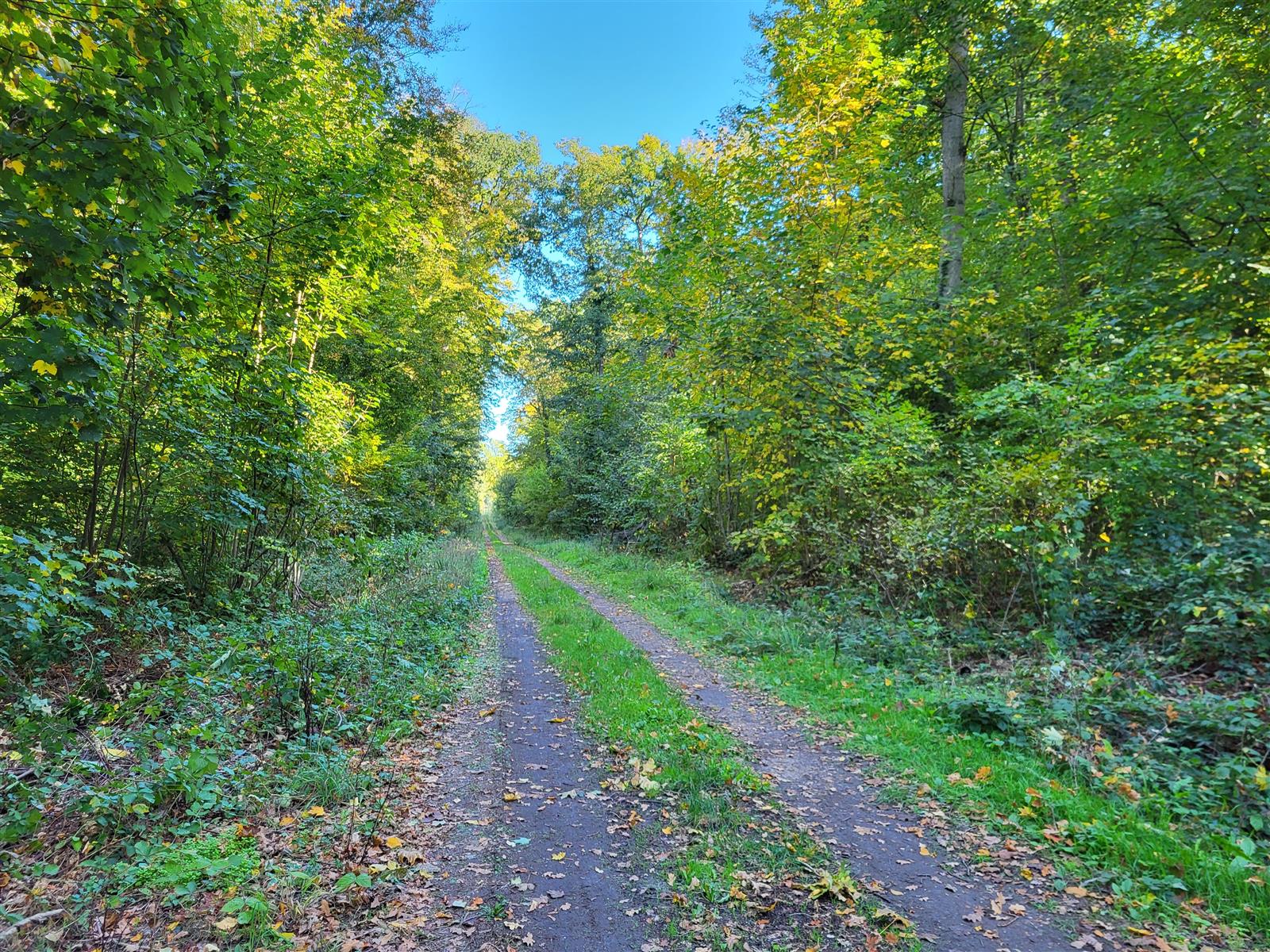 Du Mont César à l'Abbaye de Froidmont