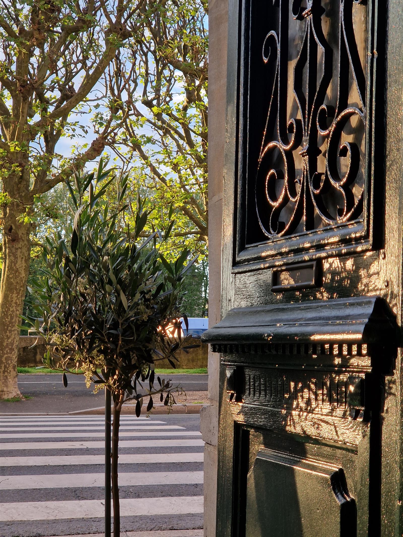 © Médité Compiègne_VIT