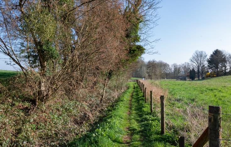 27.03.25_circuitdesarcs_DSC_5949 (1)