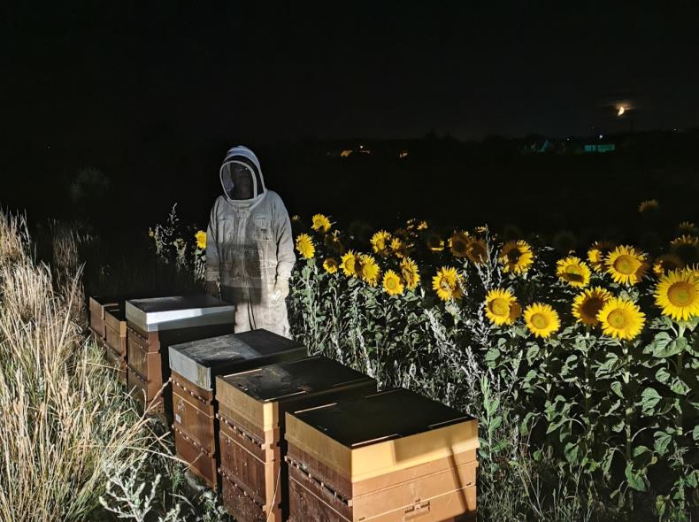 Surveillance des ruches by night