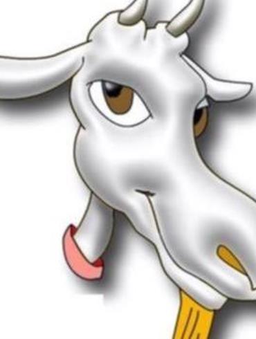 308434306_399024305733140_6336533284142970488_n