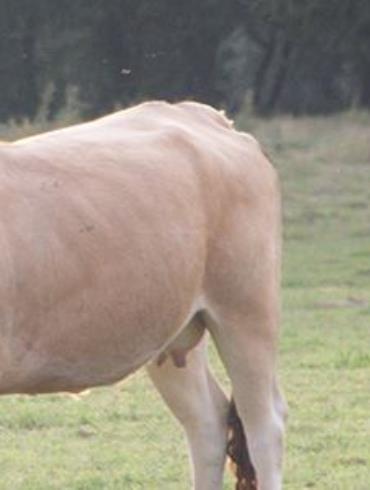 326504943_3191596927797596_6299940434973965160_n