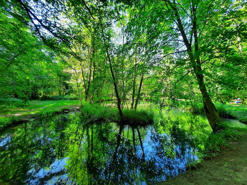 45. A la rencontre de Saint-Louis 1