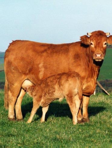 453855071_3798366220489577_3901584383550392594_n