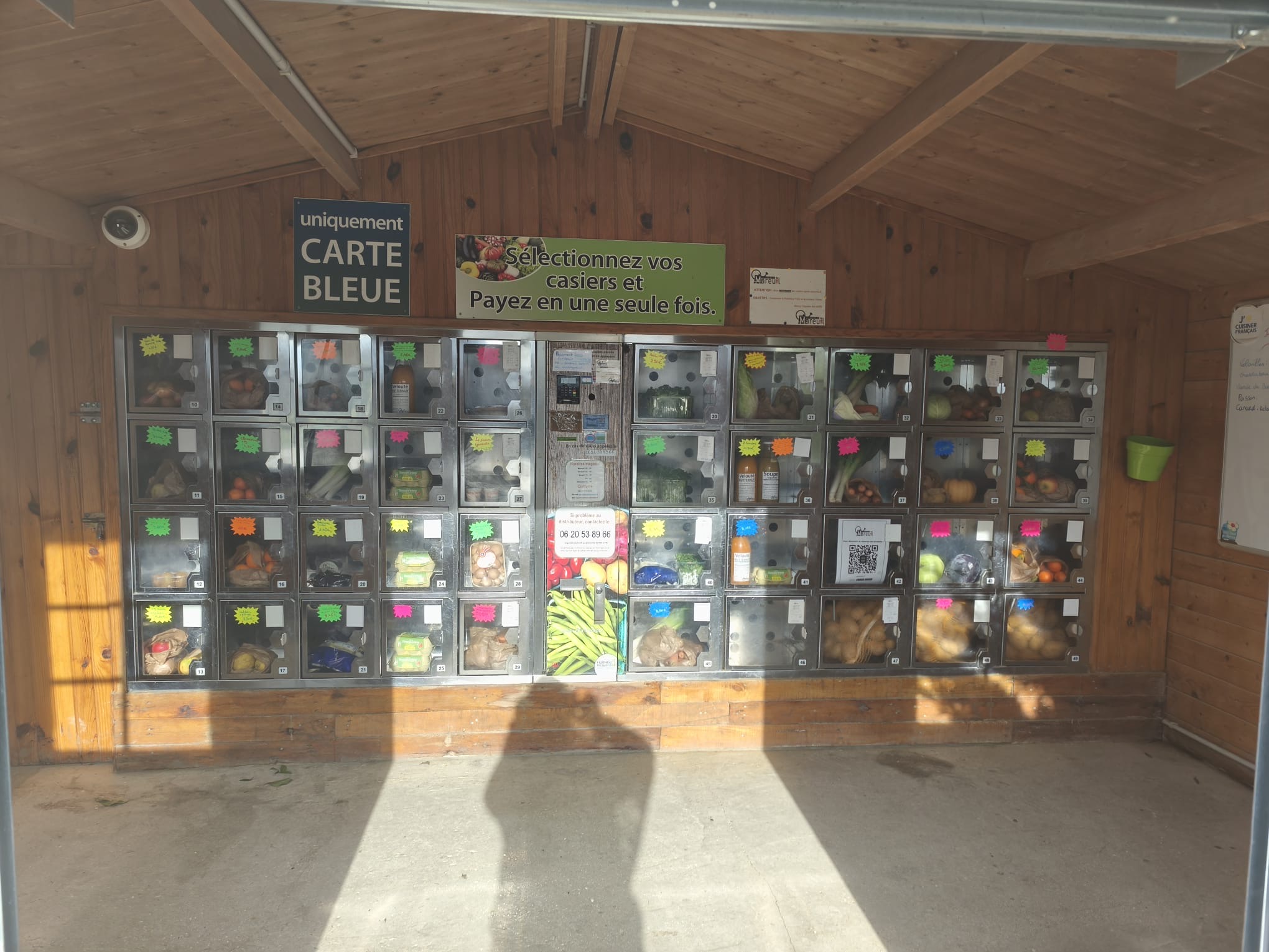 4c7408da-01ba-448c-9f83-961b9aa67a52