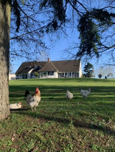 Le Domaine de la Charmille à Ermenonville 