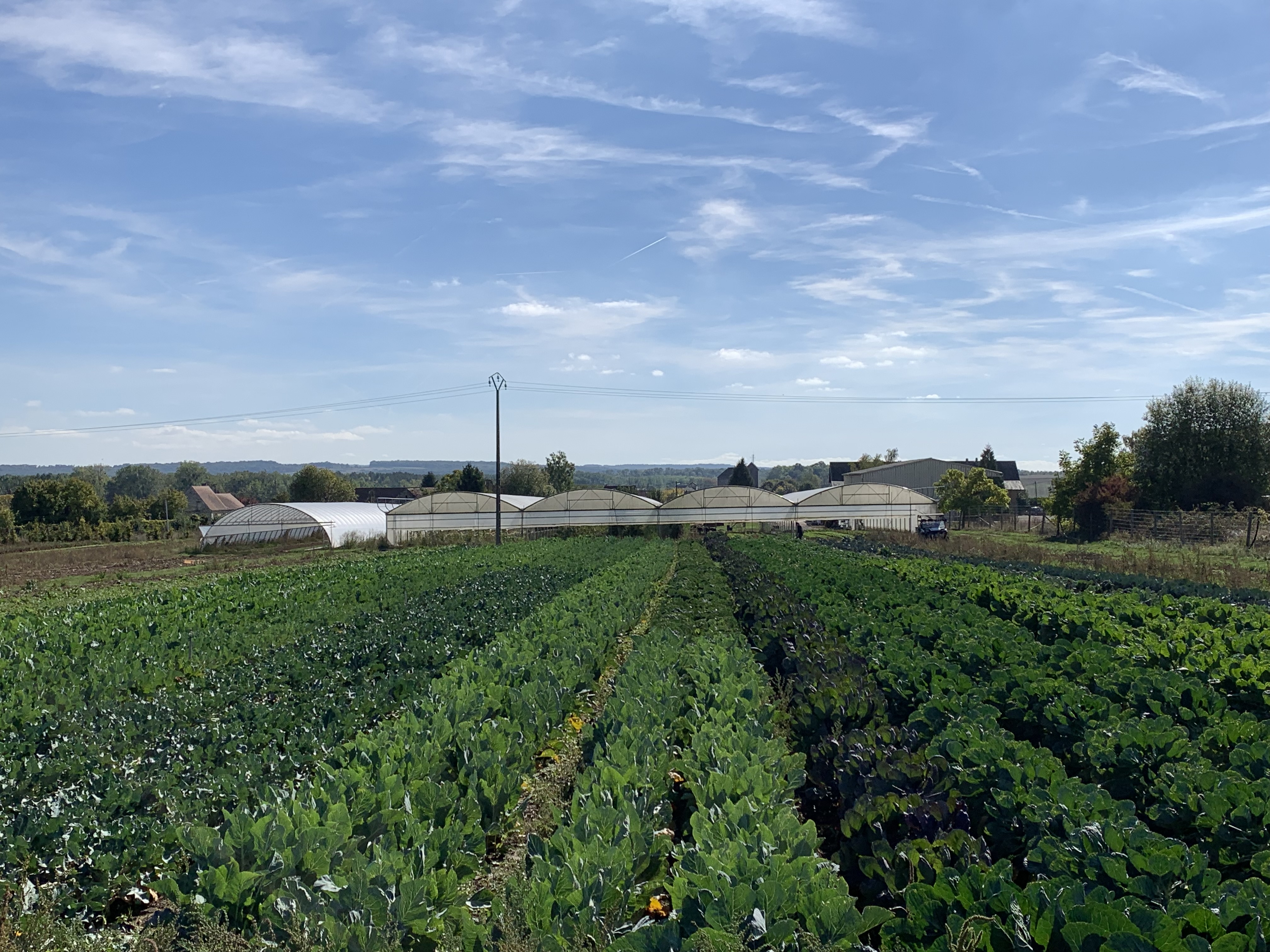 68657963367__04AAB63A-4FB3-4DD7-BA30-9088E339D0DD