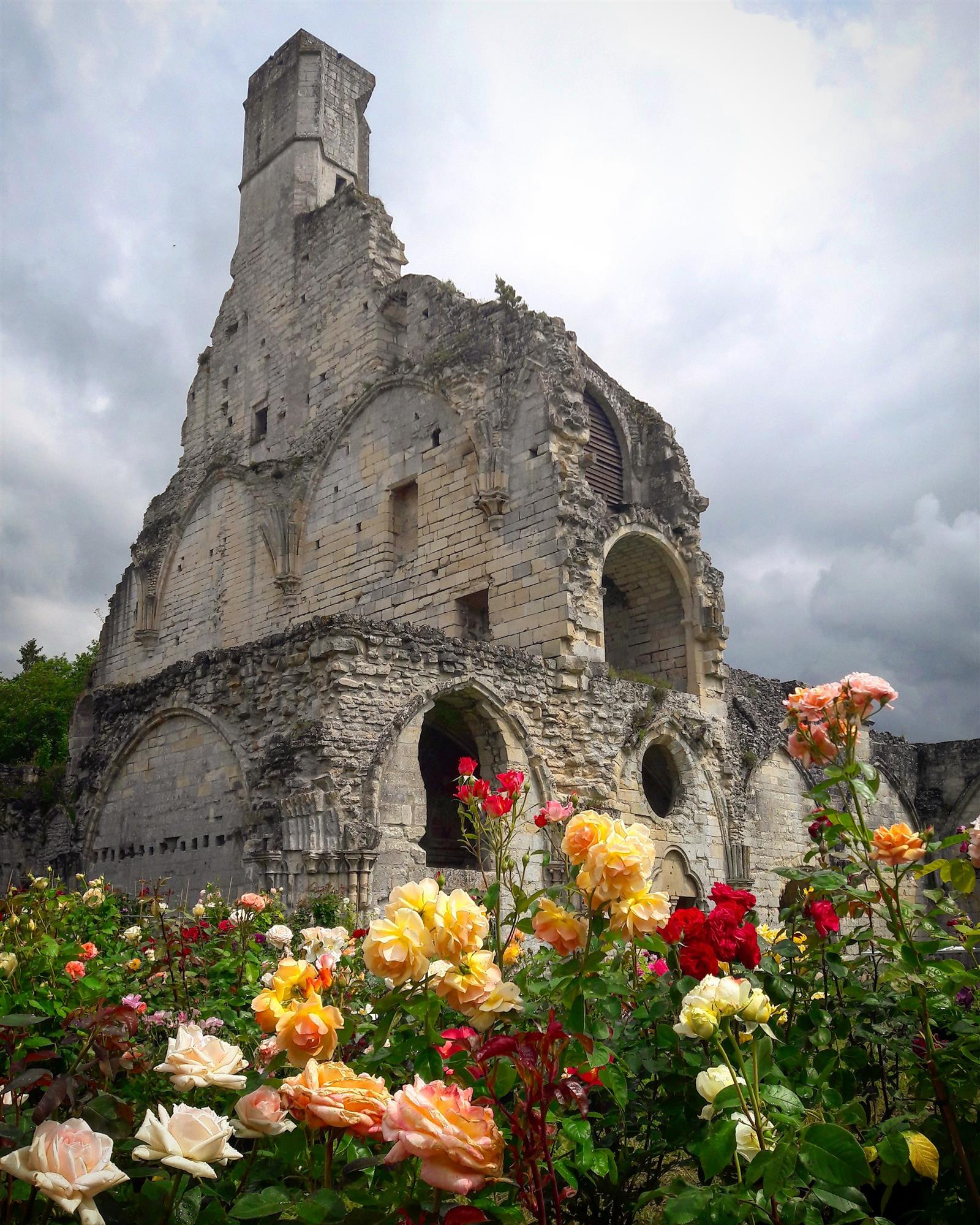 Abbaye de Chaalis Roses