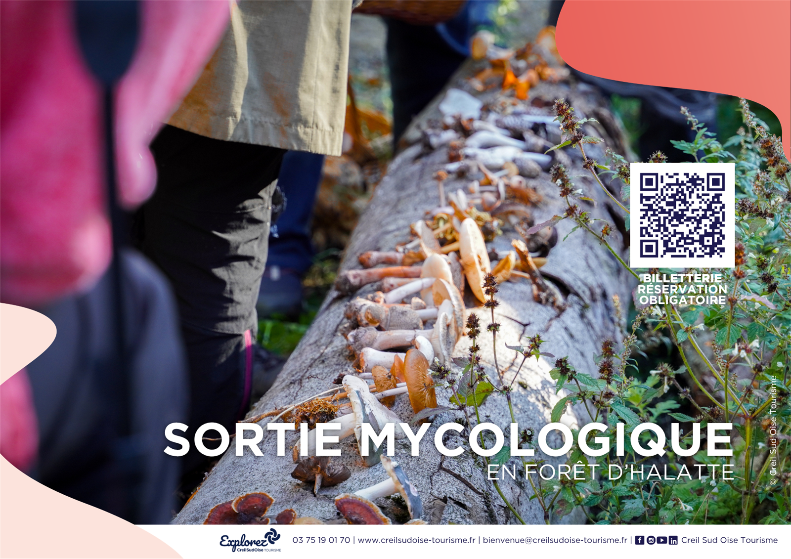 Acc -Sortie mycologique
