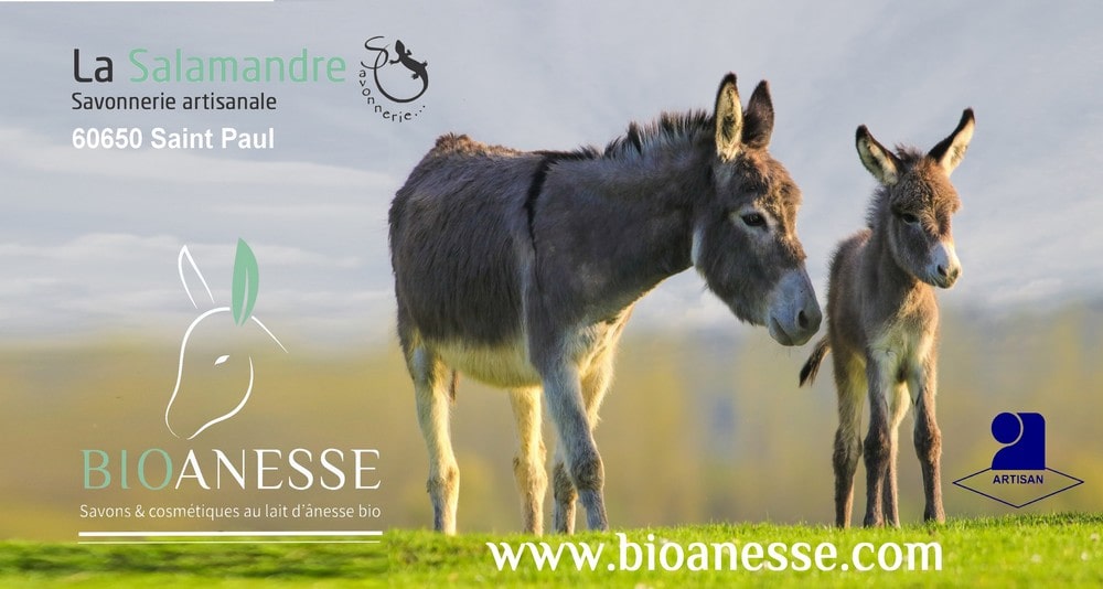 Affiche âne et ânesse