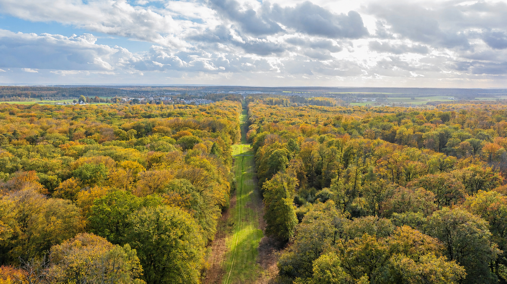 Allee royale foret de Retz © Prémont - OTSV (3)