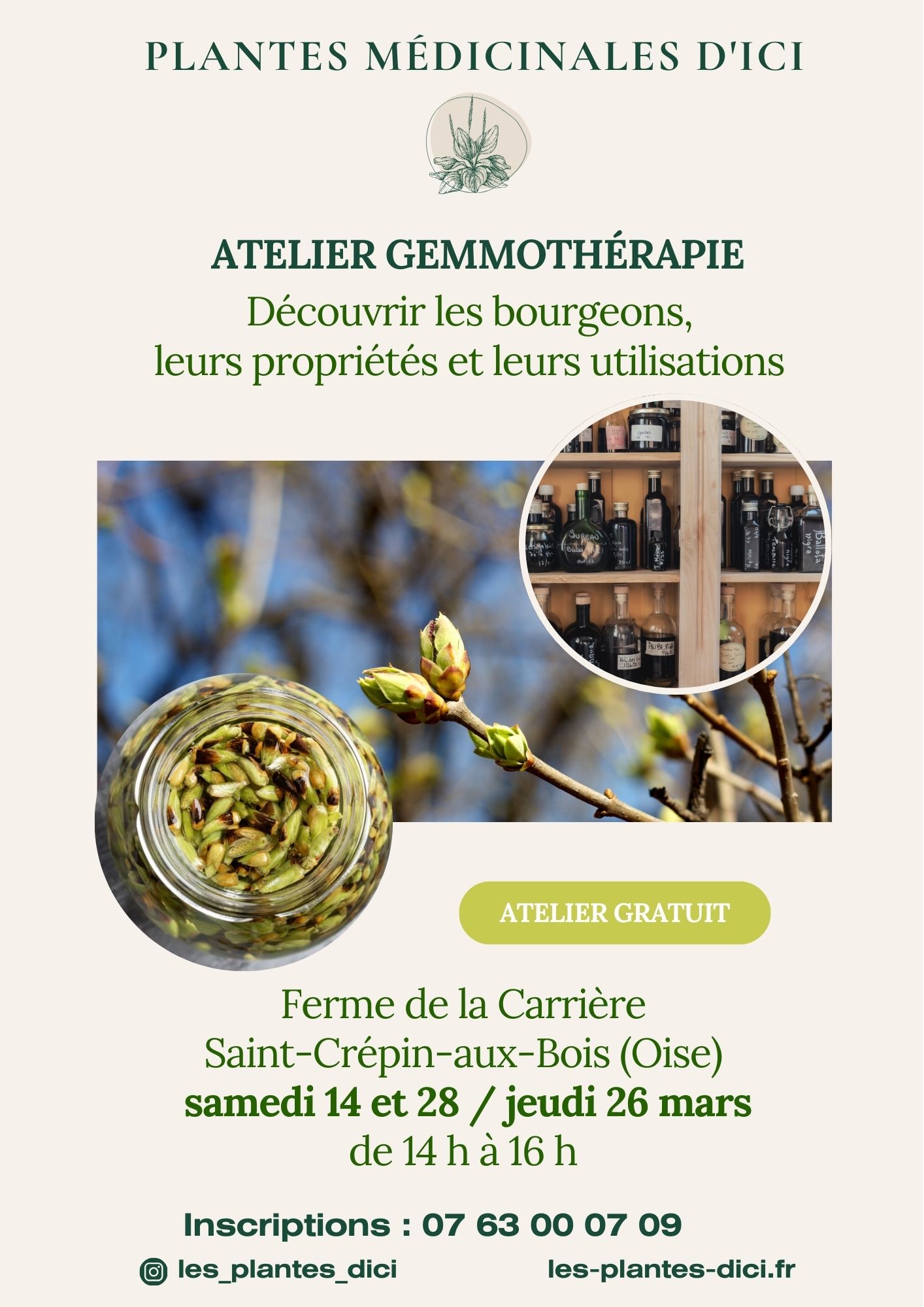 Atelier gemmothérapie | Plantes médicinales d’ici