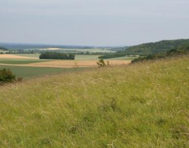 Auteuil paysage sur le Beauvaisis