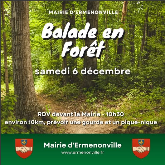 Balade en forêt - 6 déc