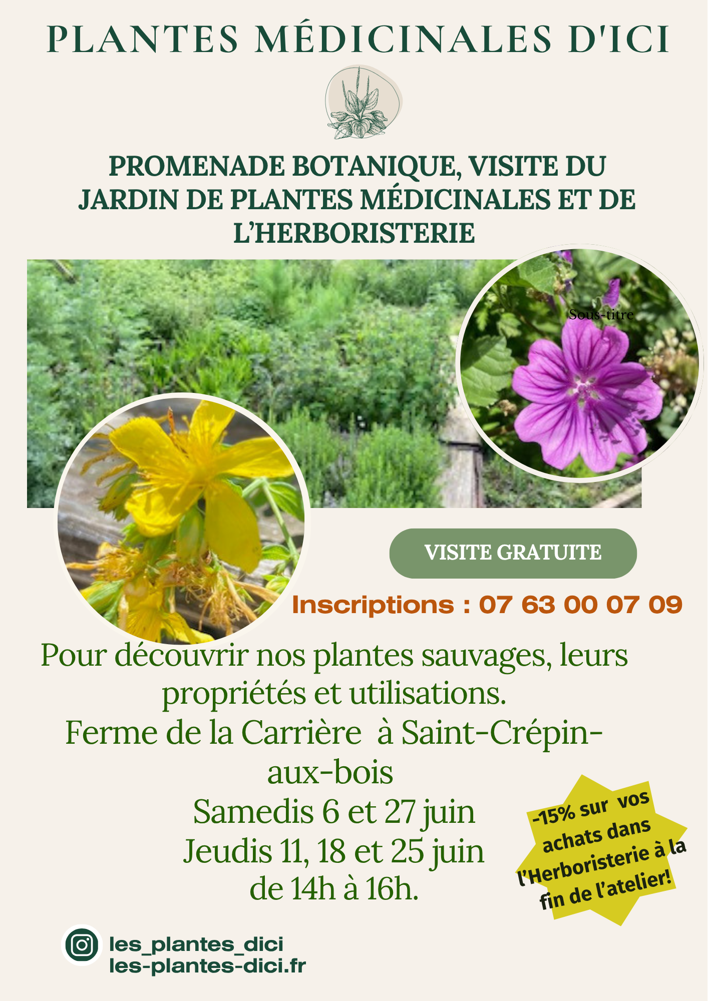 Promenade botanique | Plantes médicinales d’ici