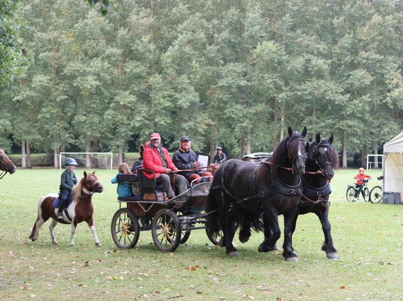 Boucle Equestre photo Marie