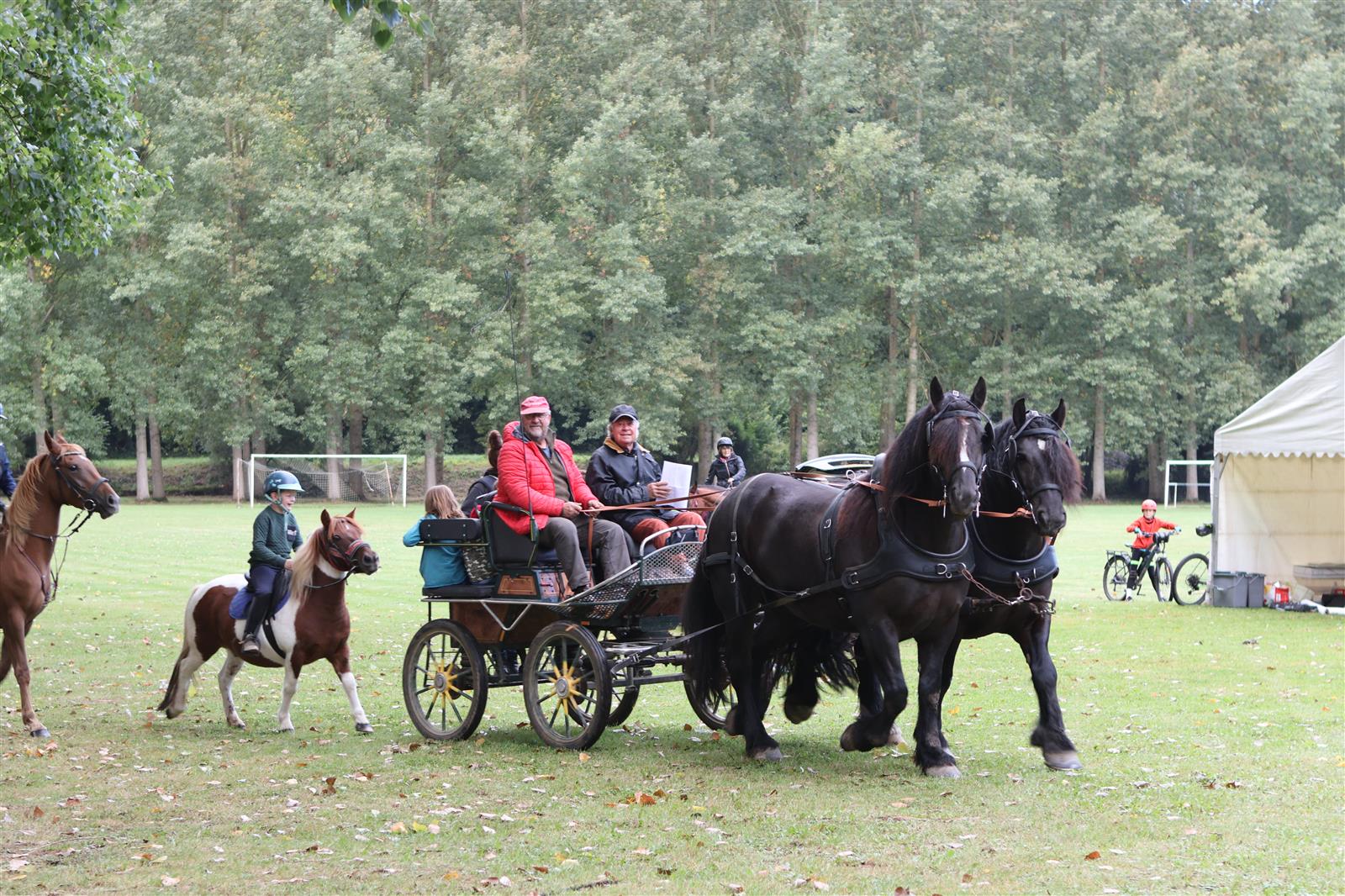 Boucle Equestre photo Marie