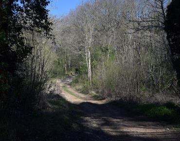 CINQUEUX Les Montilles ©CCPOH