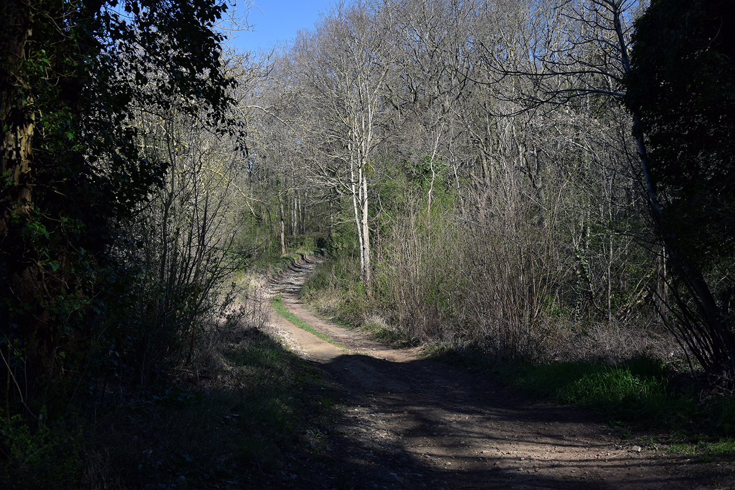CINQUEUX Les Montilles ©CCPOH
