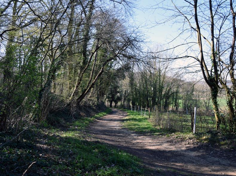 CINQUEUX Les Montilles 2 ©CCPOH