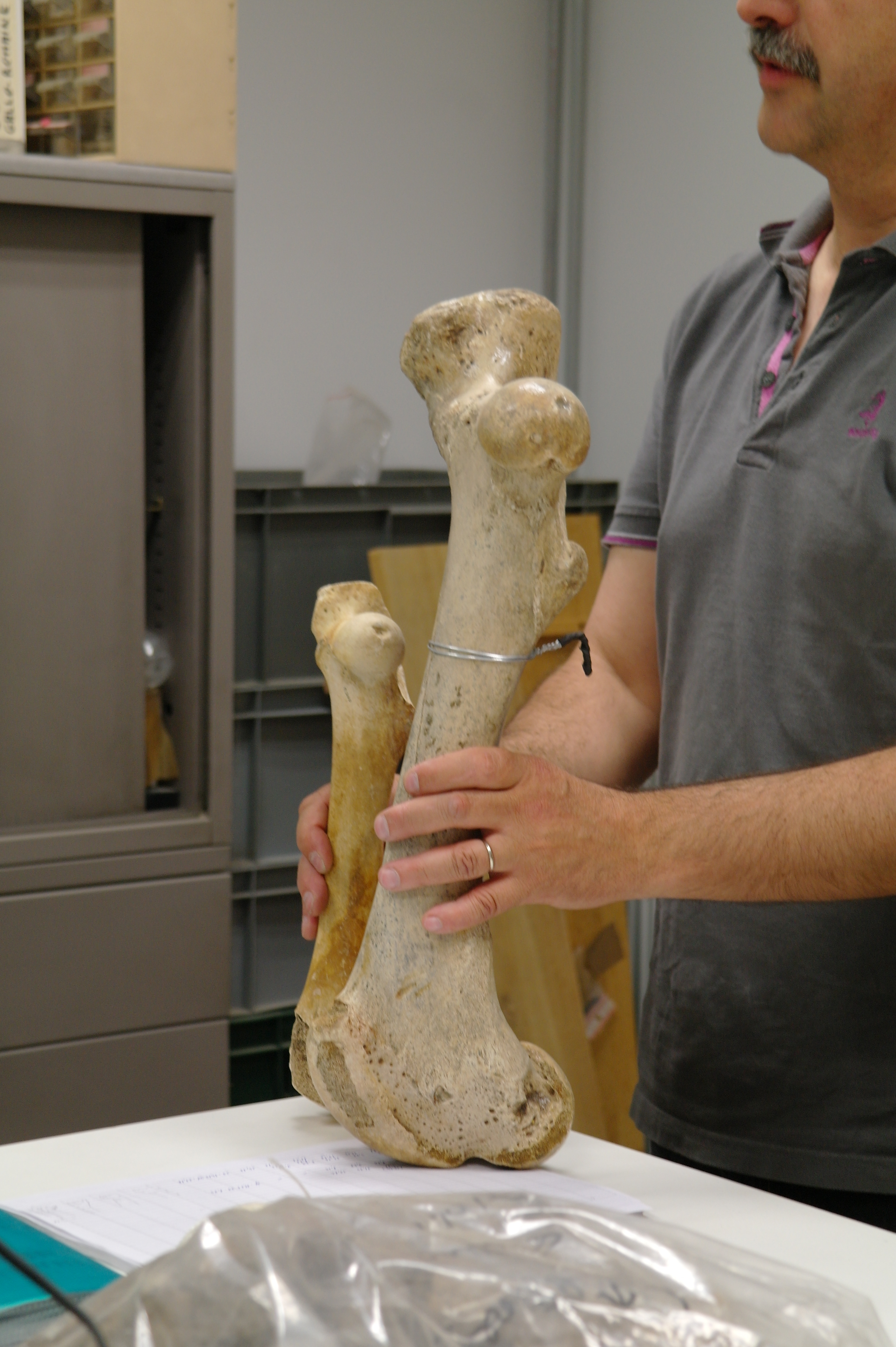 Fêtez l’archéologie au centre d’études et d’exposition Antoine Vivenel