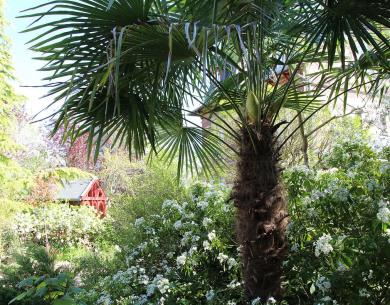 Les Jardins Carnot - Site internet 