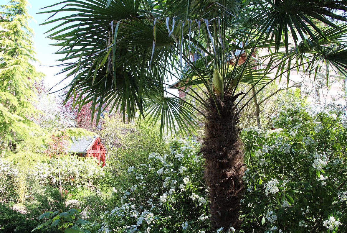 Les Jardins Carnot - Site internet 