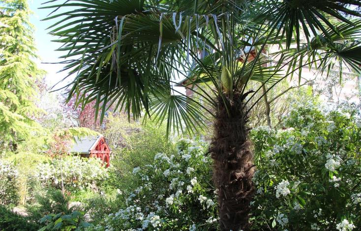 Les Jardins Carnot - Site internet