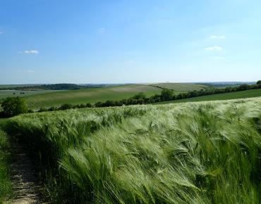 Circuit_AS38_Lataule_P5260033