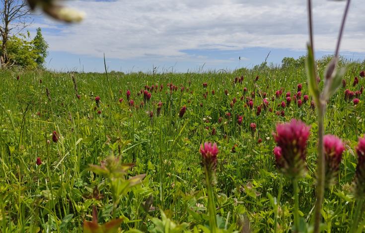 Circuit_Le_Moulin_Vieux_Repérage_2021_crédit_OTIPB_A_LEGENDRE (22)
