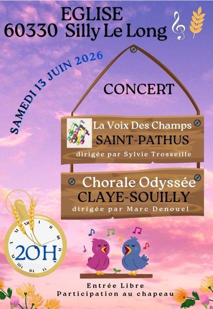 Concert Silly le Long - 13 juin
