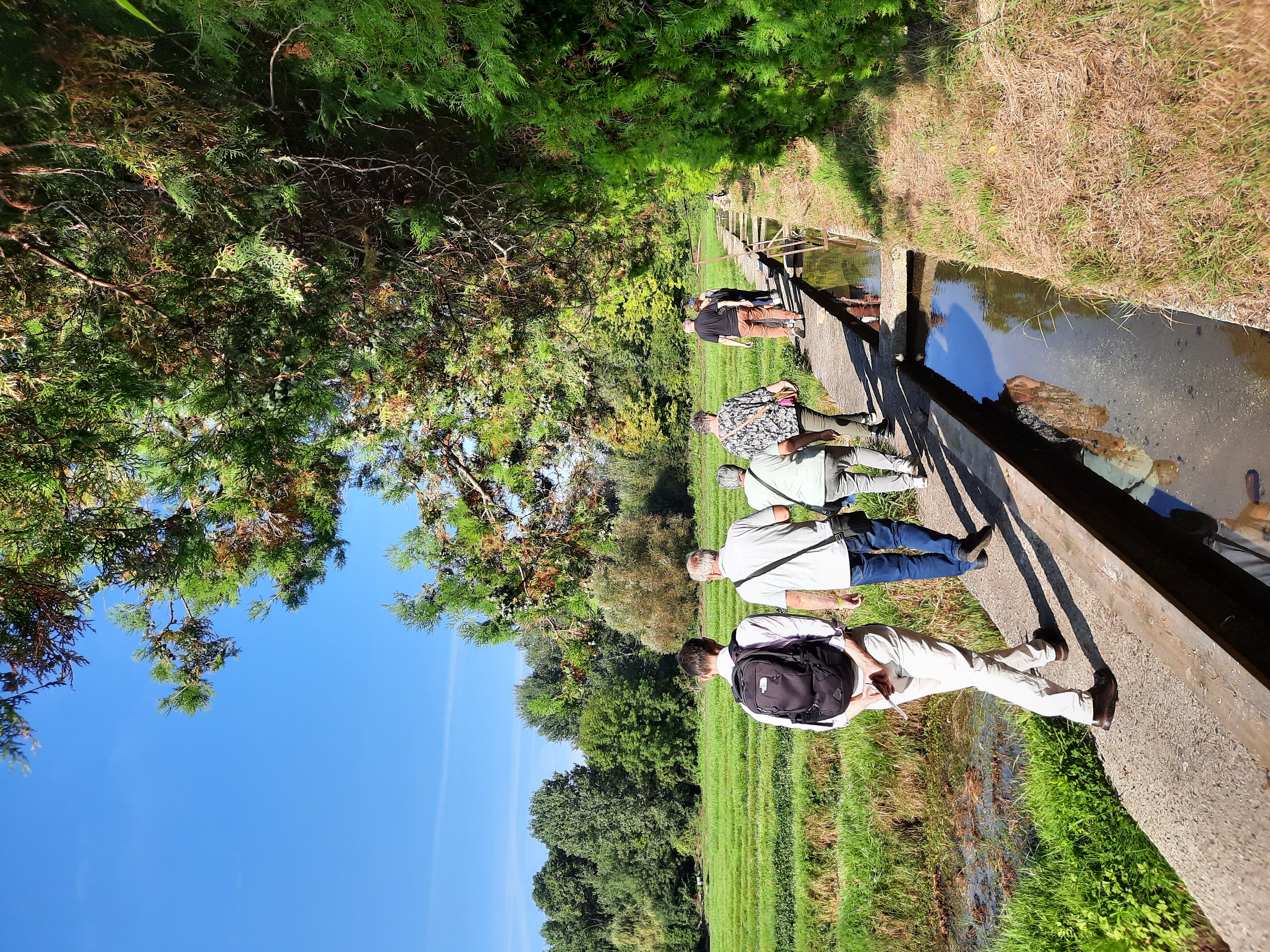 Visite découverte d’une cressonnière