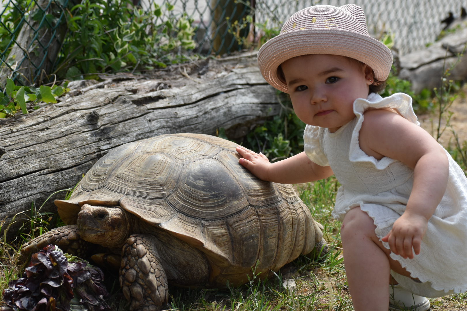 Parc Saint Léger - Parc Animalier