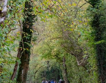 Randonnée historique_10.11.24_Vignemont