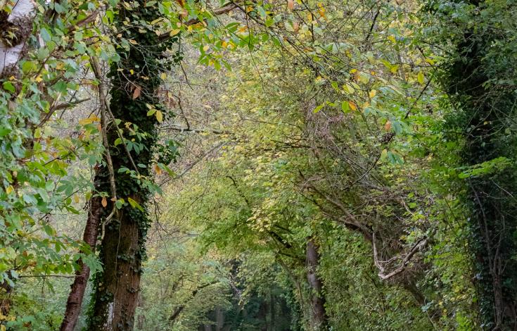 Randonnée historique_10.11.24_Vignemont