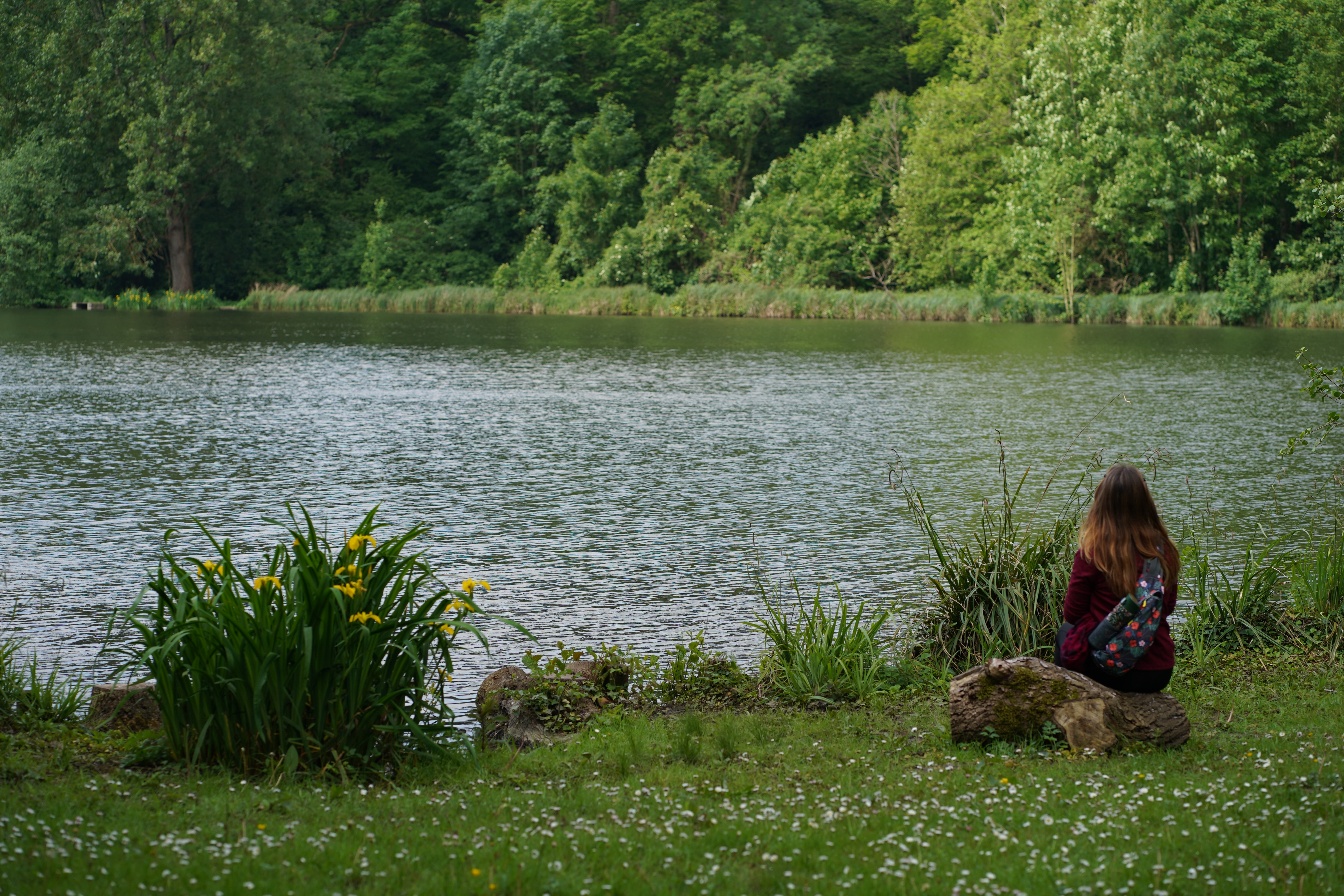 Balade aux Éangs Saint-Pierre