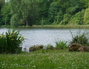 Étangs de Saint-Pierre